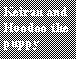 Text Box: Keiran and Hoodoo the puppy